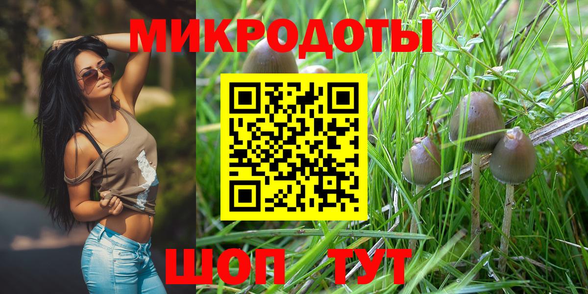 Псилоцибиновые грибы MAGIC MUSHROOMS  Вход с VPN  Заводоуковск 